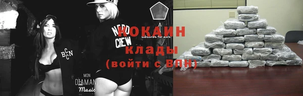 хмурый Арсеньев