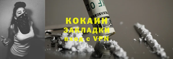 хмурый Арсеньев
