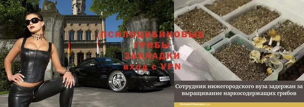хмурый Арсеньев
